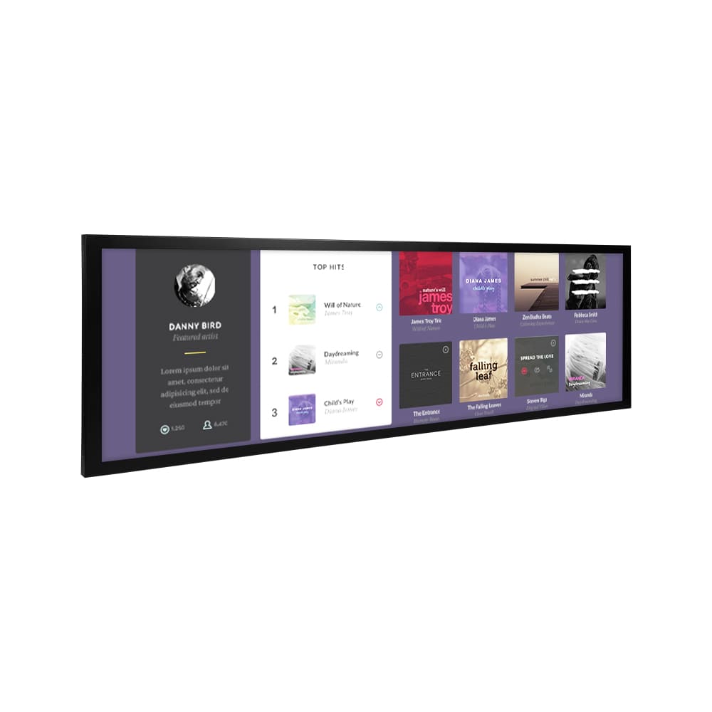 Information-Only Digital Kiosk Display